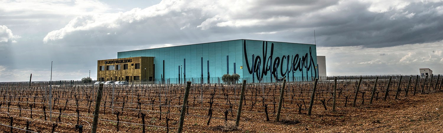 De wijngaard van Valdecuevas