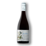 Cdb Pinot noir botanic