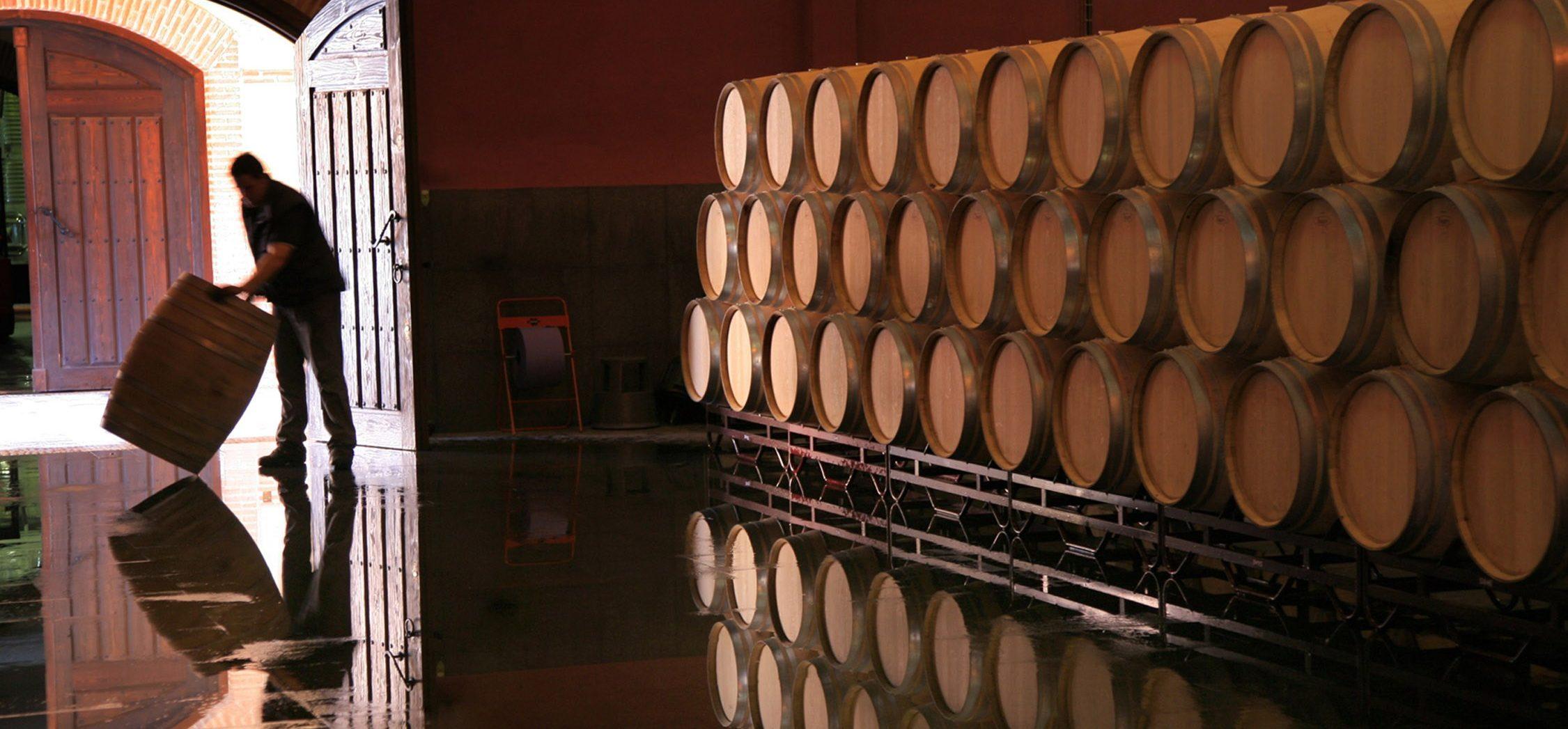 De wijnkelder van Teso la Monja